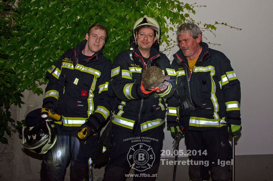 20.05.2014 - Tierrettung Igel