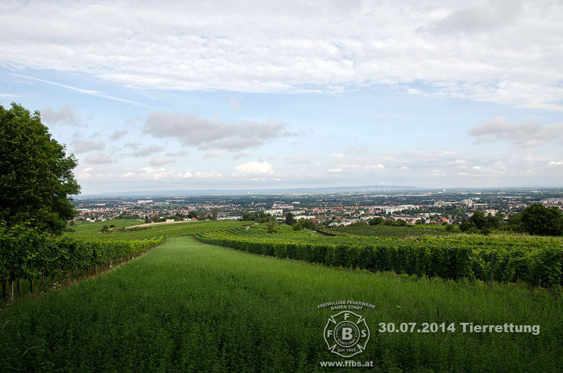 2014-07-30_tierrettung_006