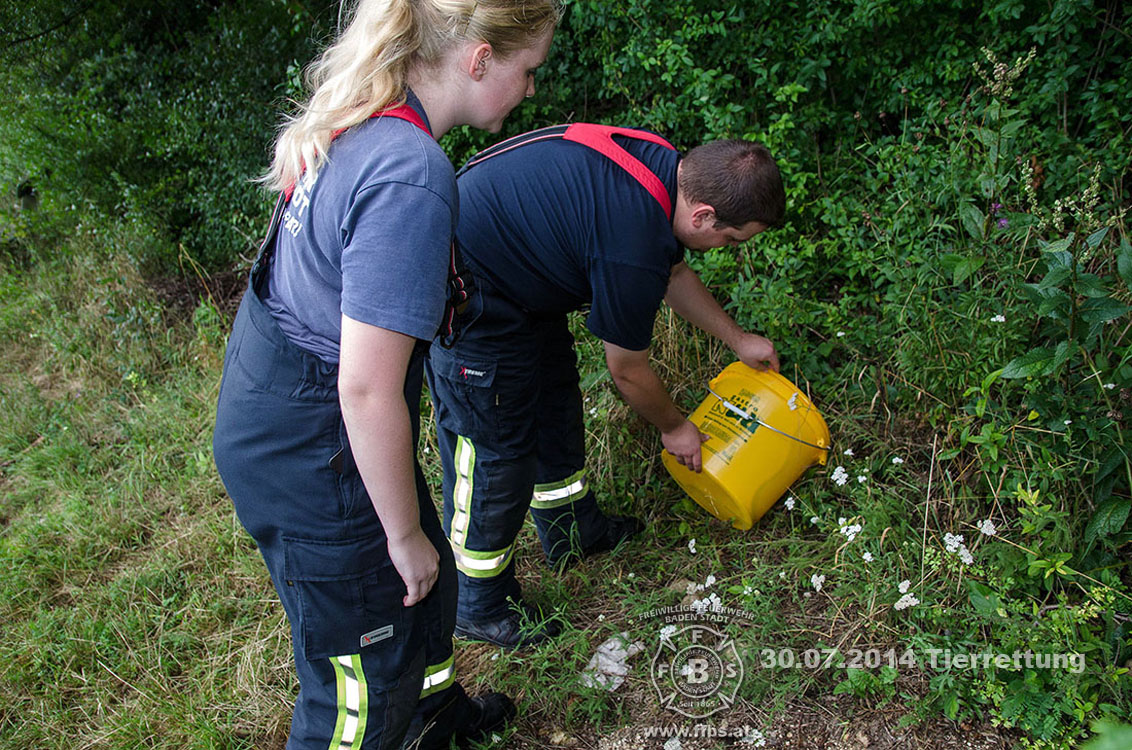 2014-07-30_tierrettung_007