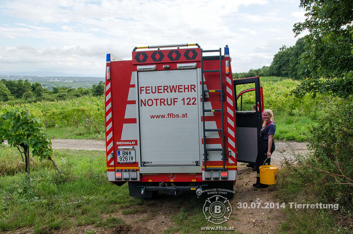 2014-07-30_tierrettung_008