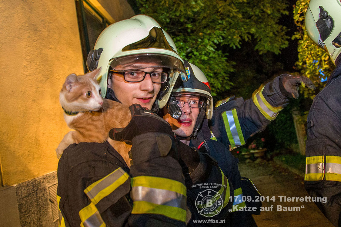 2014.09.17 Tierrettung - Katze auf Baum