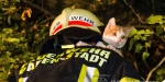 2014.09.17 Tierrettung - Katze auf Baum