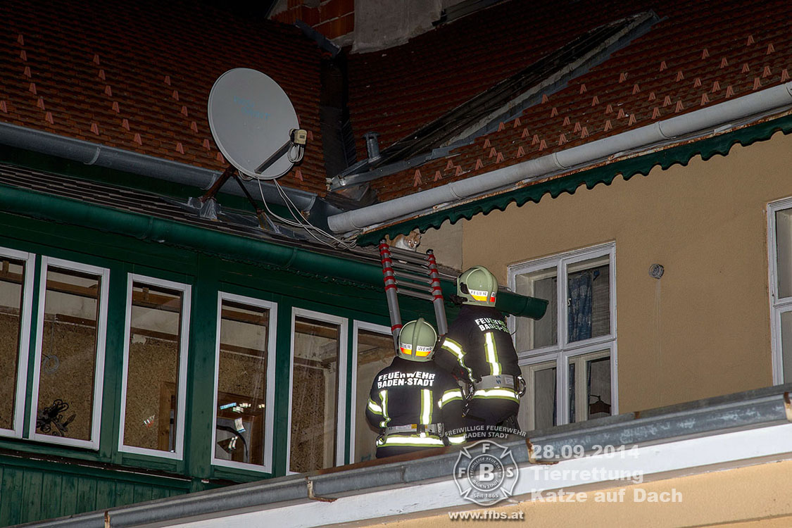 2014.09.28_Tierrettung