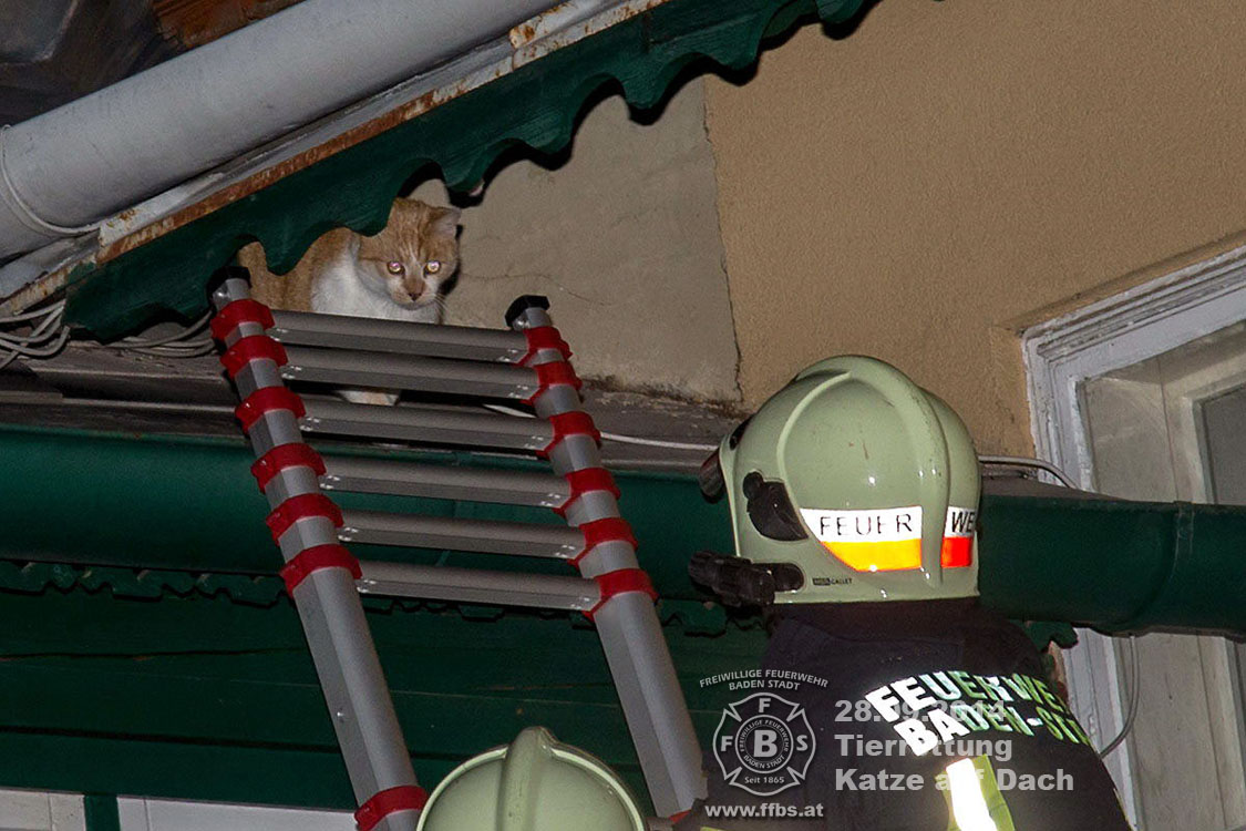 2014.09.28_Tierrettung