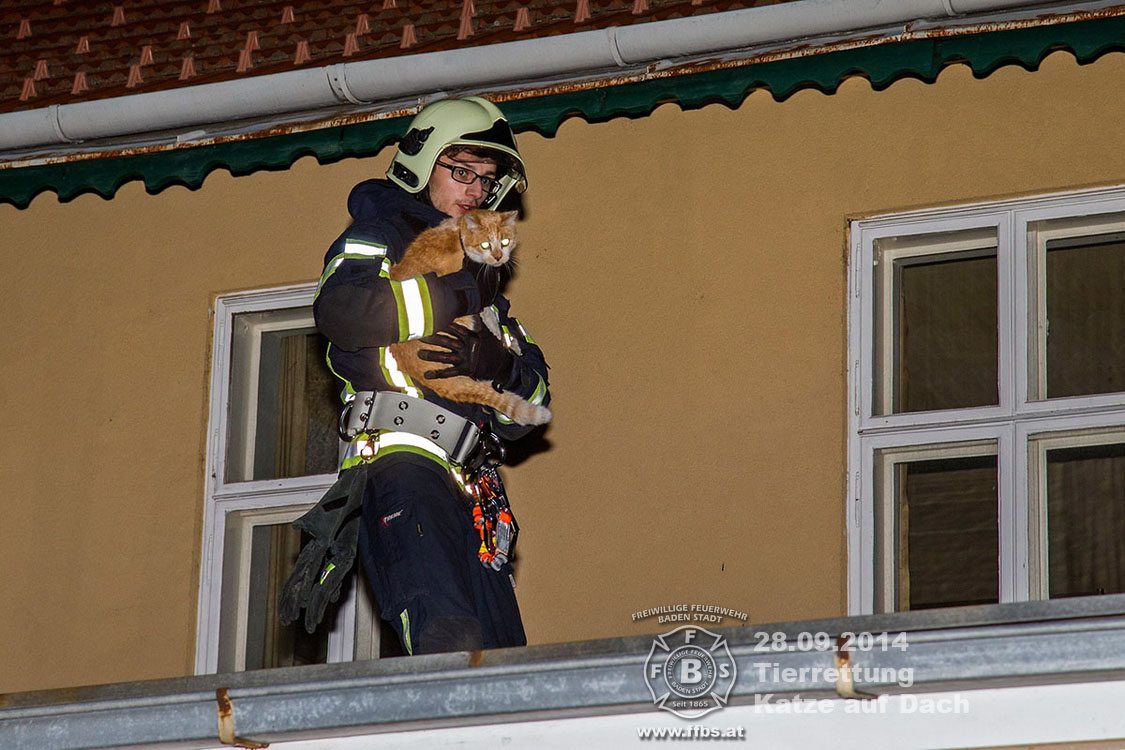 2014.09.28_Tierrettung
