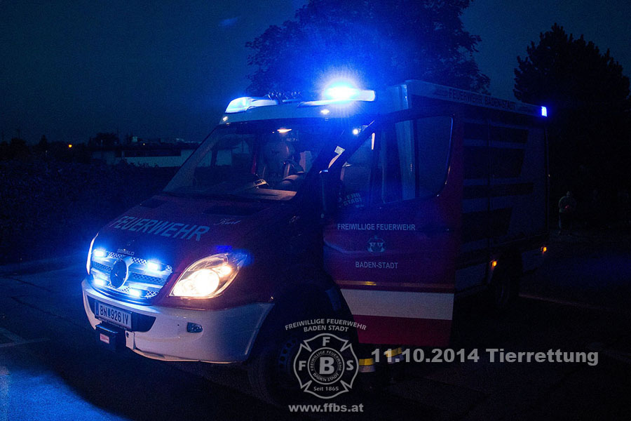 2014-10-11_tierrettung_001