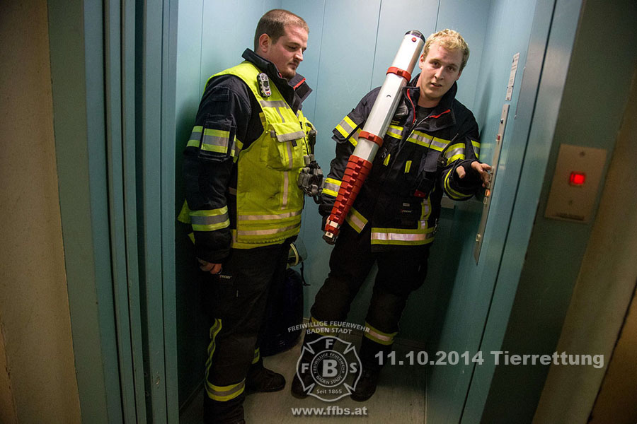 2014-10-11_tierrettung_003