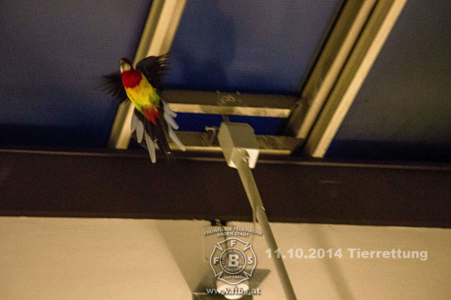 2014-10-11_tierrettung_006
