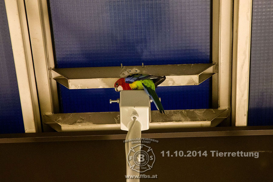 2014-10-11_tierrettung_011