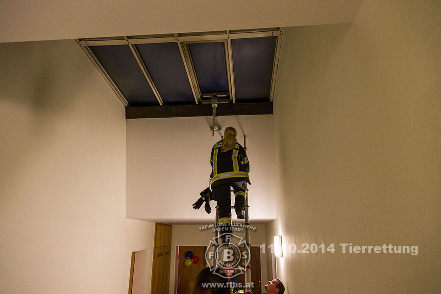 2014-10-11_tierrettung_012