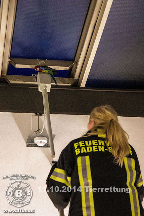 2014-10-11_tierrettung_013