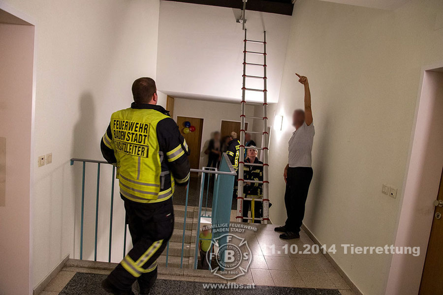 2014-10-11_tierrettung_015