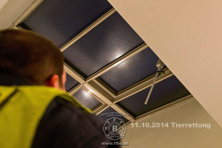 2014-10-11_tierrettung_016