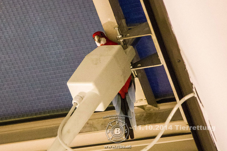 2014-10-11_tierrettung_017