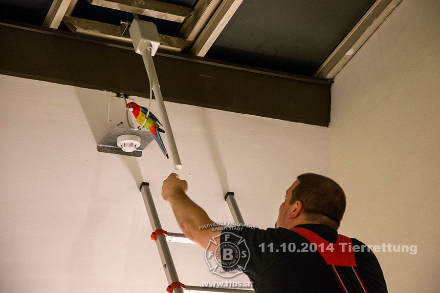 2014-10-11_tierrettung_018