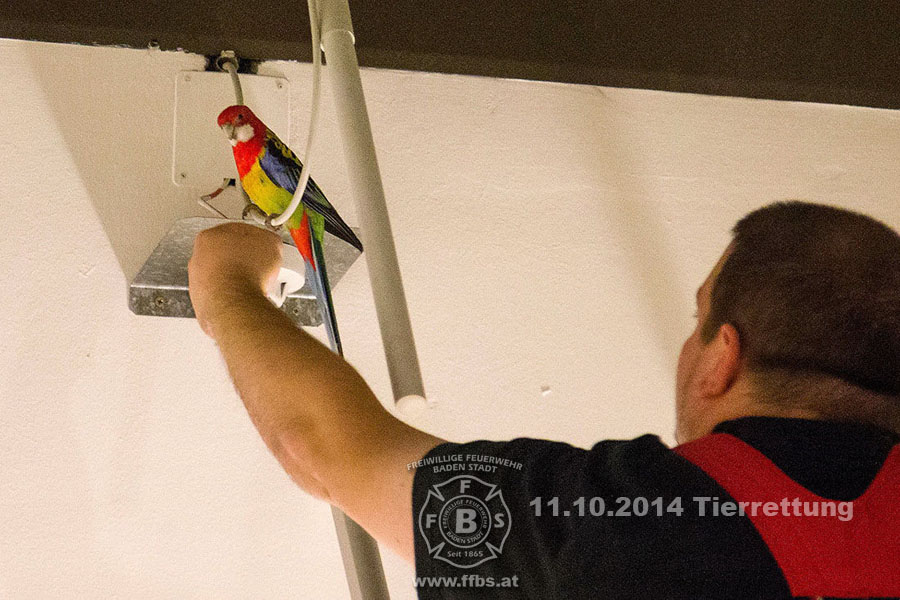 2014-10-11_tierrettung_020