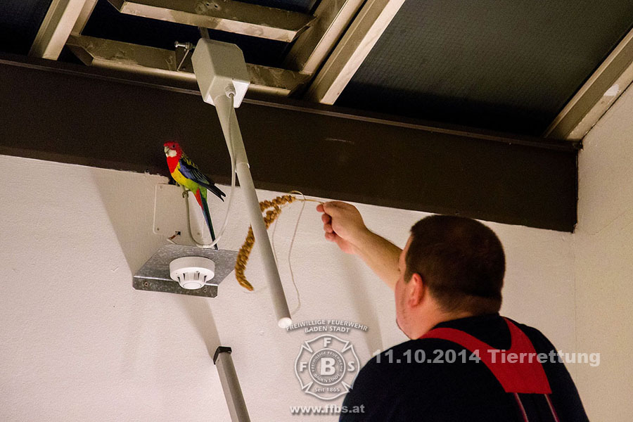 2014-10-11_tierrettung_022