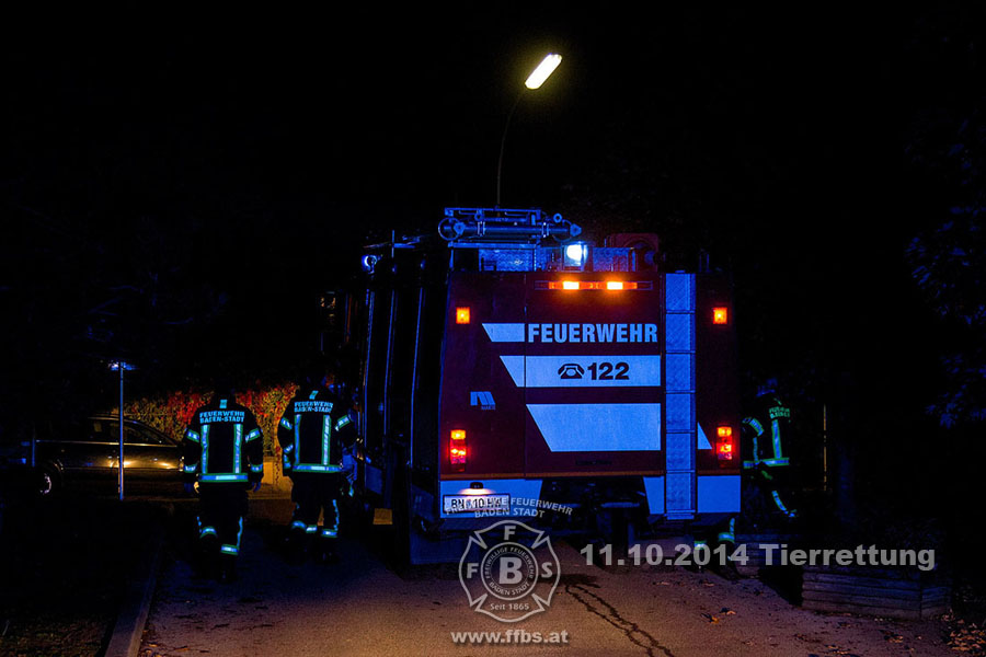2014-10-11_tierrettung_026