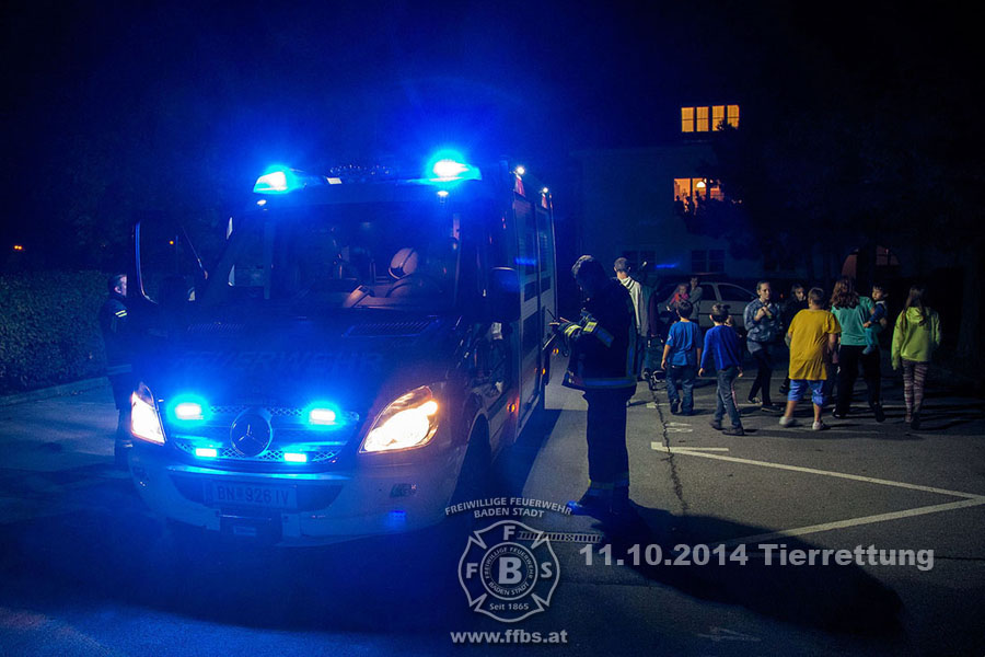 2014-10-11_tierrettung_027