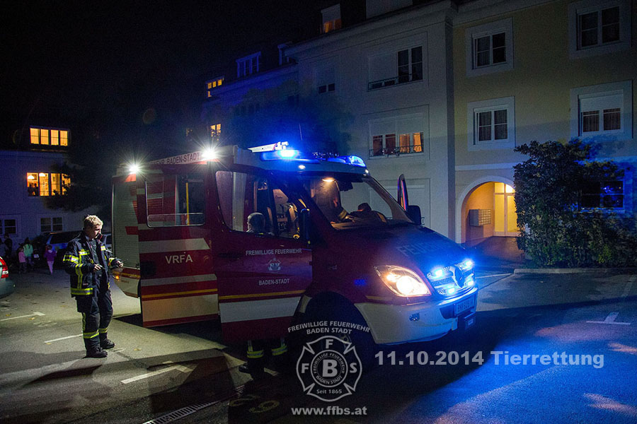 2014-10-11_tierrettung_028