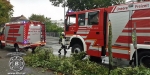 2017-08-10 - Impressionen Unwettereinsätze - Freiw. Feuerwehr Baden-Stadt - www.ffbs.at