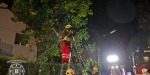 2017-08-10 - Impressionen Unwettereinsätze - Freiw. Feuerwehr Baden-Stadt - www.ffbs.at