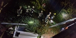 2017_11_04 - Verdacht auf Zimmerbrand nach Explosion in Wohnung in einer Wohnhausanlage in Baden - Foto: Stefan Schneider FF Baden-Stadt / www.ffbs.at