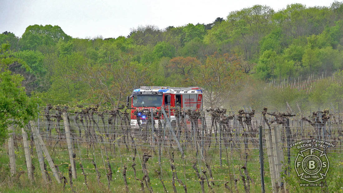 20200418 Brandverdacht Badener Berg 1