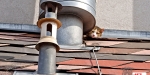 20220320 Tierrettung in Baden