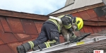 20220320 Tierrettung in Baden