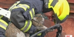 20220320 Tierrettung in Baden