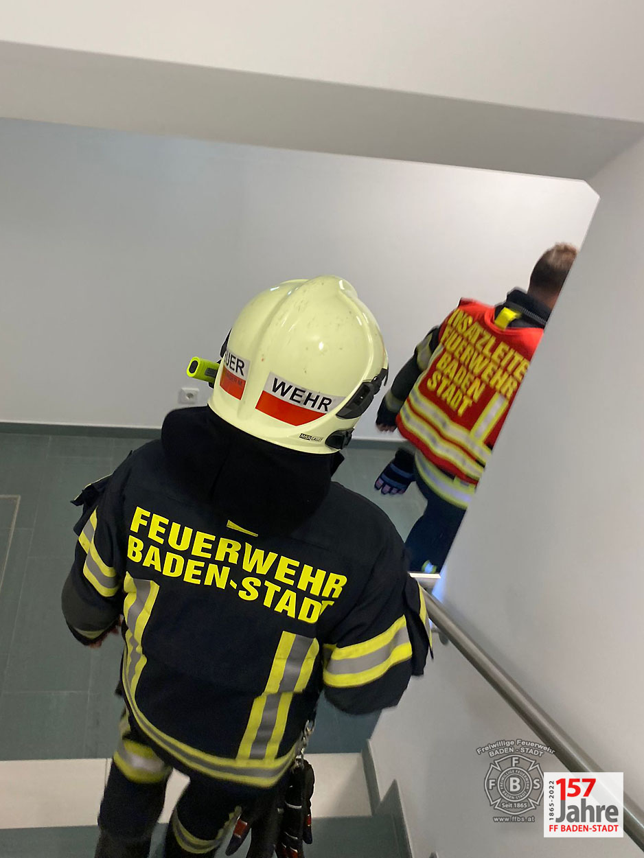 20220522 Tierrettung in Badener Wohnhausanlage - Schlange in Tiefgarage