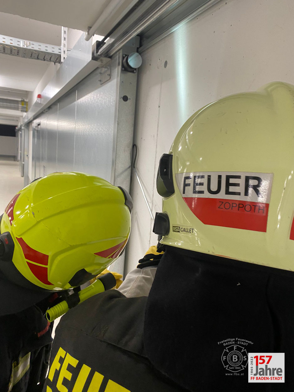 20220522 Tierrettung in Badener Wohnhausanlage - Schlange in Tiefgarage