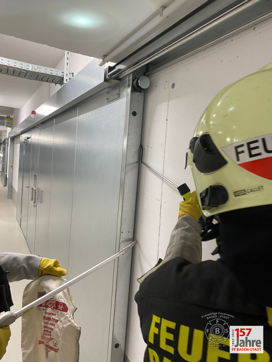 20220522 Tierrettung in Badener Wohnhausanlage - Schlange in Tiefgarage