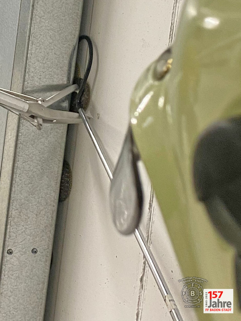 20220522 Tierrettung in Badener Wohnhausanlage - Schlange in Tiefgarage