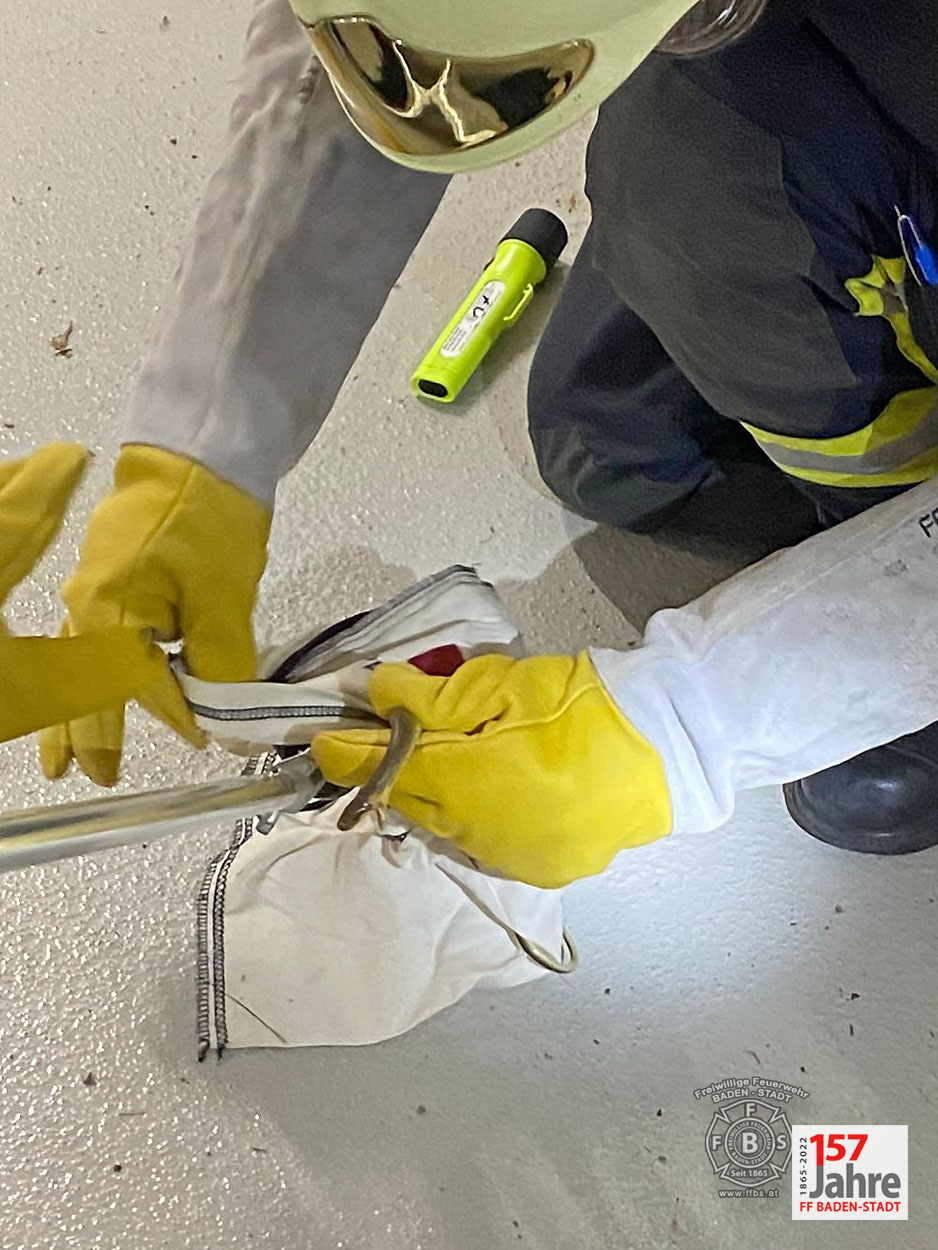 20220522 Tierrettung in Badener Wohnhausanlage - Schlange in Tiefgarage