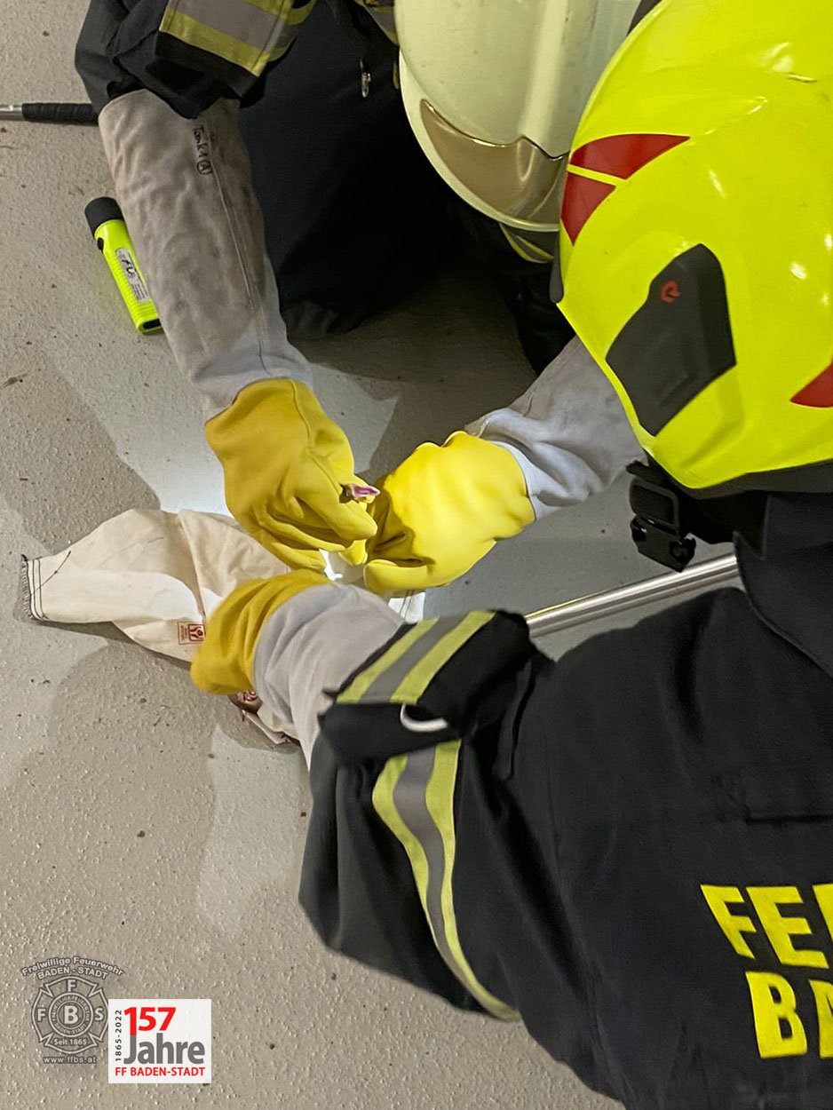 20220522 Tierrettung in Badener Wohnhausanlage - Schlange in Tiefgarage