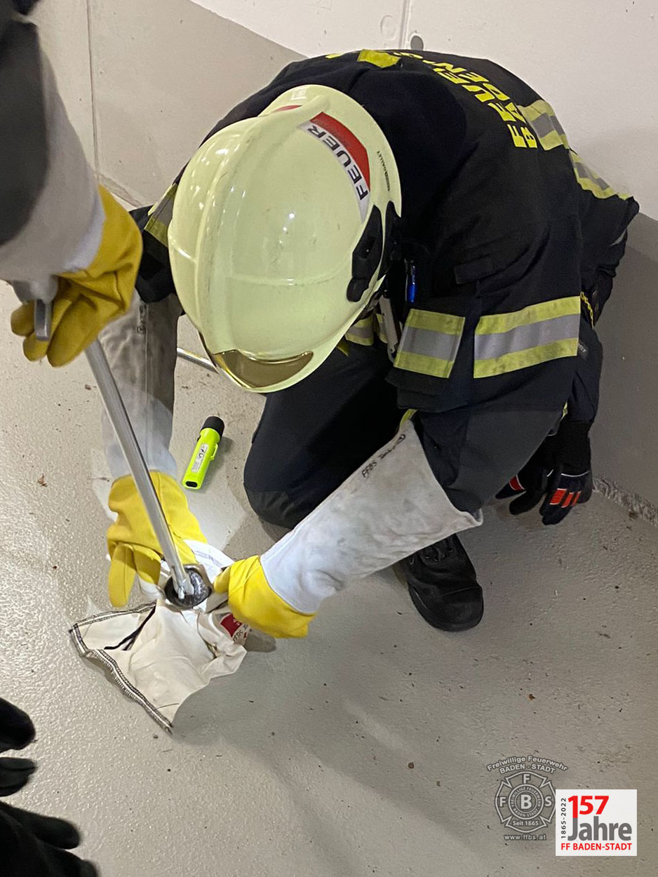 20220522 Tierrettung in Badener Wohnhausanlage - Schlange in Tiefgarage