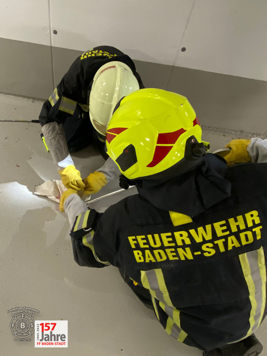 20220522 Tierrettung in Badener Wohnhausanlage - Schlange in Tiefgarage