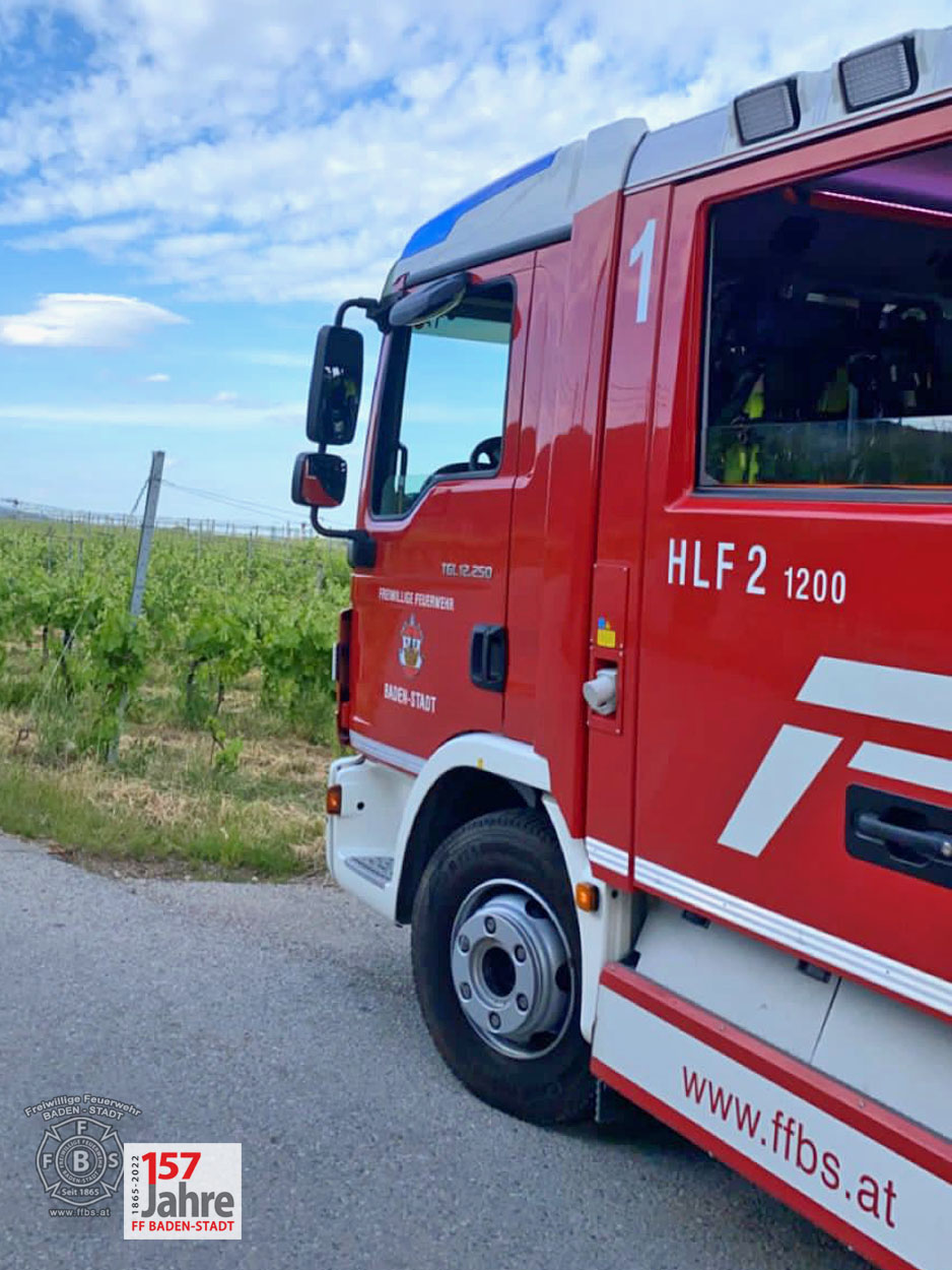20220522 Tierrettung in Badener Wohnhausanlage - Schlange in Tiefgarage