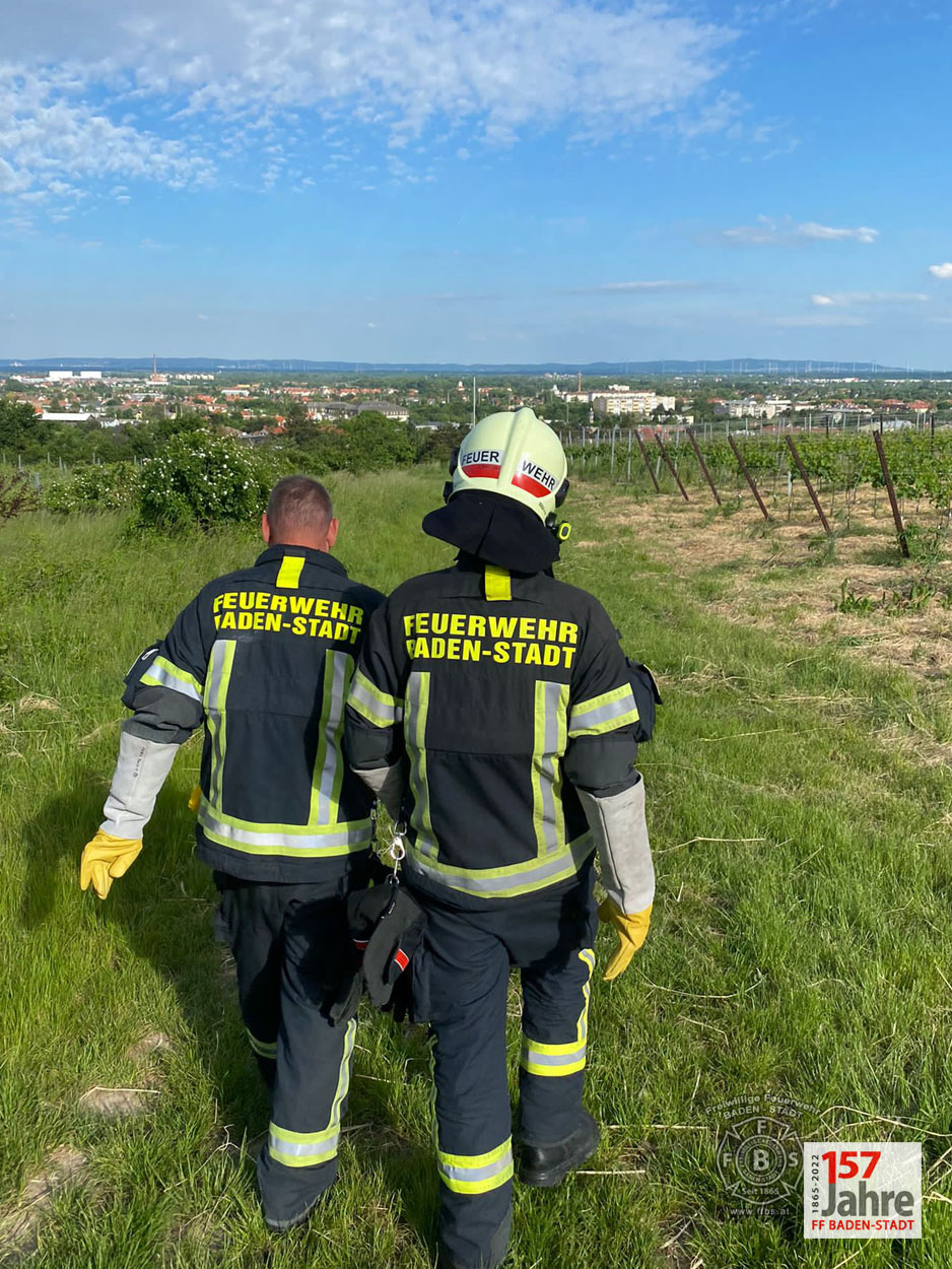 20220522 Tierrettung in Badener Wohnhausanlage - Schlange in Tiefgarage