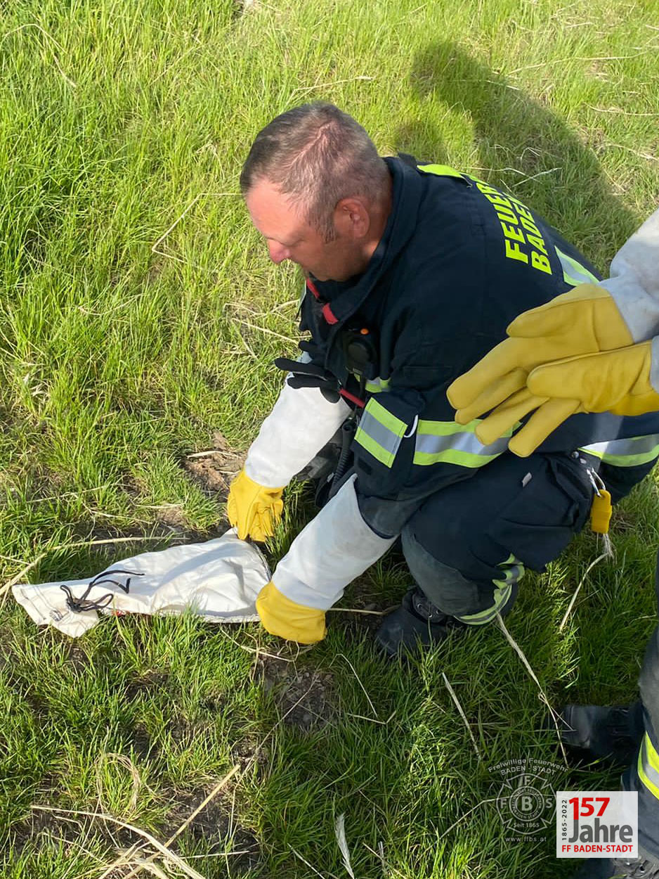 20220522 Tierrettung in Badener Wohnhausanlage - Schlange in Tiefgarage
