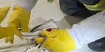 20220522 Tierrettung in Badener Wohnhausanlage - Schlange in Tiefgarage