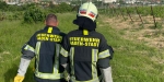 20220522 Tierrettung in Badener Wohnhausanlage - Schlange in Tiefgarage