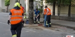 20220602 Verkehrsunfall im Badener Stadtgebiet