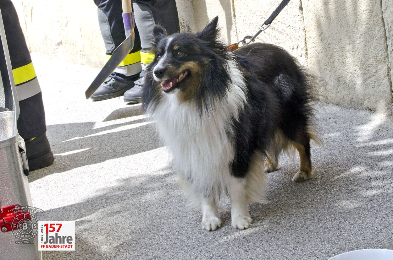 20220607 Tierrettung in Baden