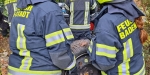 20221105 Fahrzeugbergung im Badener Kurpark