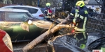 20230203 Sturmtief Pit übe derr Stadt BADEN