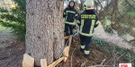 20230204 Sturmtief Pit über der Stadt BADEN