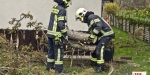 20230204 Sturmtief Pit über der Stadt BADEN